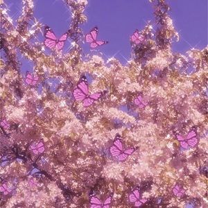 Meet your Posher, Mindy